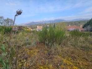 Vistas